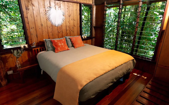 The Canopy Rainforest Treehouses and Wildlife Sanctuary