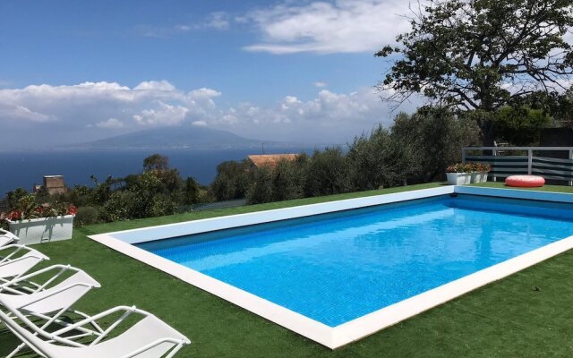 Sorrento Olive Tree Garden