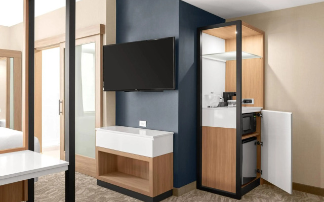 SpringHill Suites by Marriott Jackson
