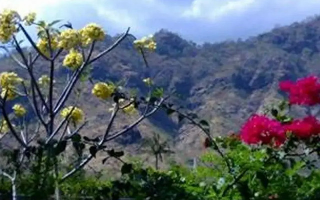 Gunung Mas Pemuteran