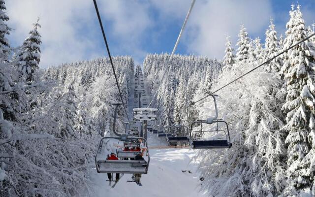 VIP-Aparts Bukovel