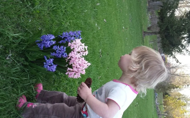 Saugeenview Family Getaway