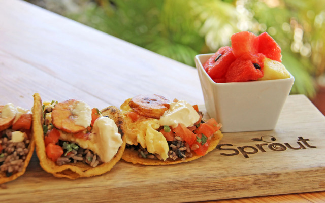 Surf Ranch Tamarindo