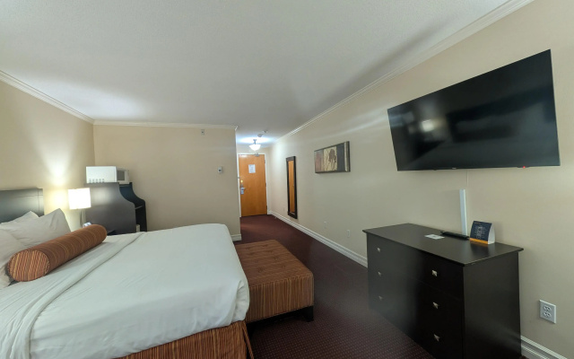 Best Western Swan Castle Inn