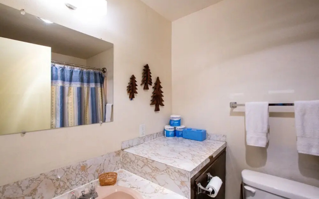 Mt Baker Lodging Condo 77 - Sleeps 2