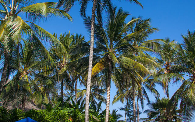 Turtle Bay Beach Club