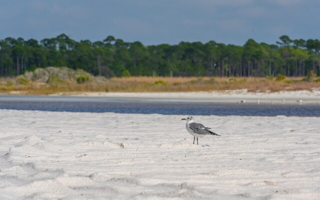 Incogbeacho - 505 Defuniak Street