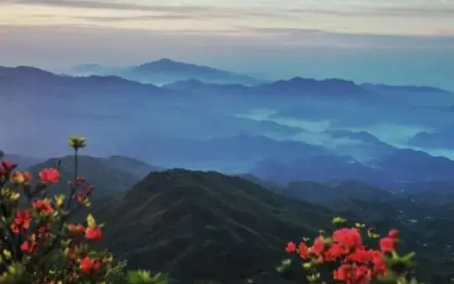 Dawei Mountain Wild Nest Starry Sky Camp