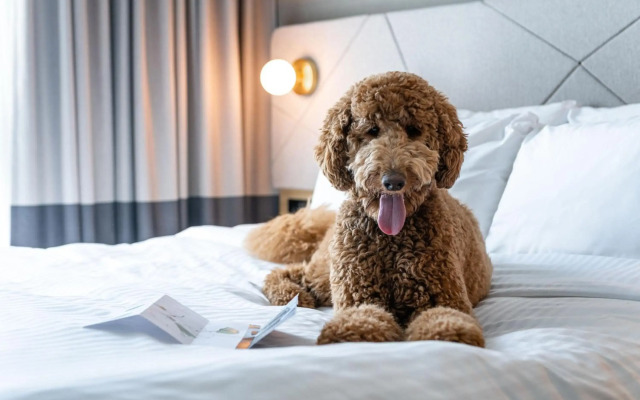 Residence Inn Slough