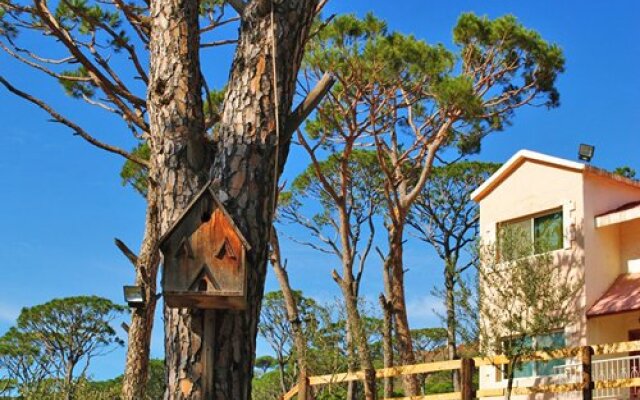 Pineland Resort And Country Club