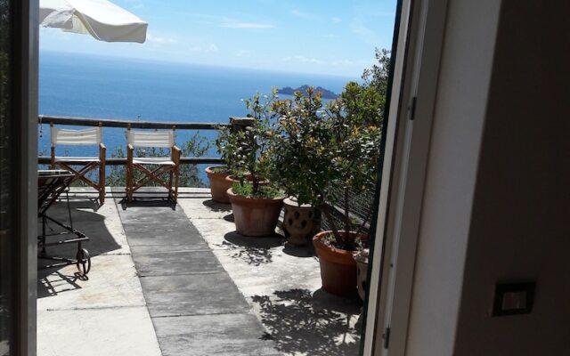 Ulivi Mare Portofino