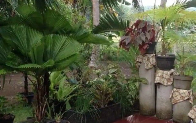 Marlon's Rest Homestay