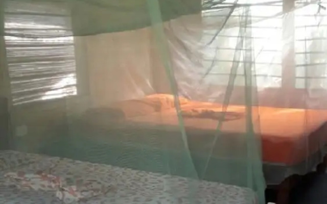 Ecogarden Cabañas Ecologicas