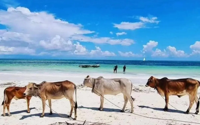 Sipano Beach Lodge Kiwengwa