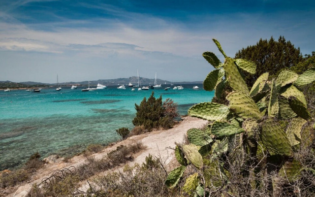 Bella Vista House With Sea View