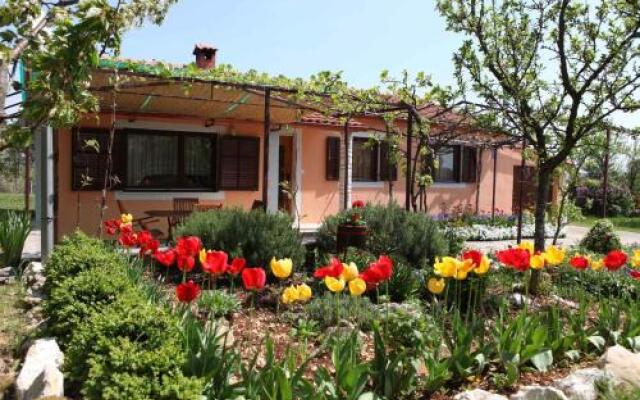 Holiday home in Tinjan/Istrien 10008