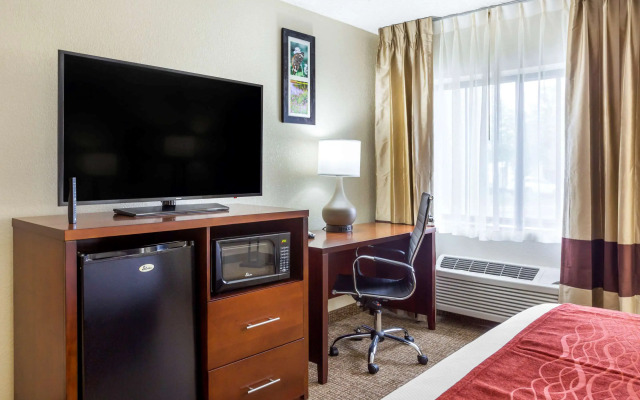 Comfort Inn Hoffman Estates - Schaumburg