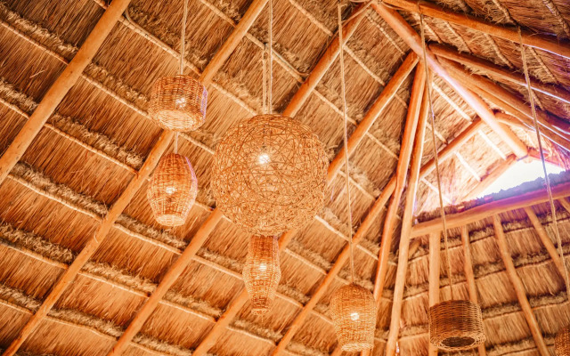 Petit Lafitte Hotel
