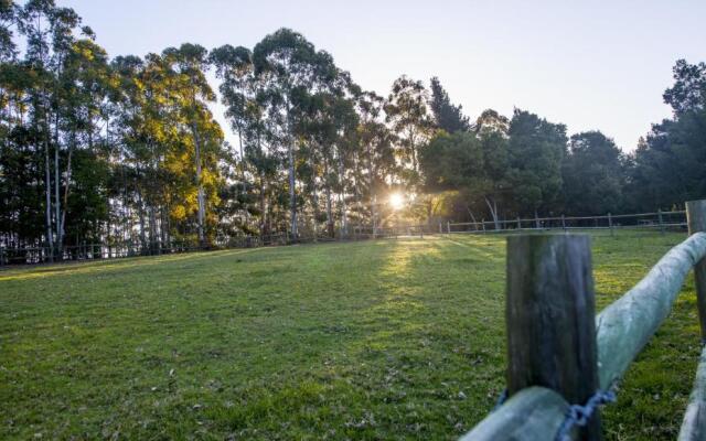 Tamodi Lodge and Stables