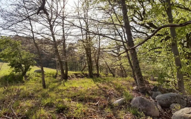 Time out Modern Retreat