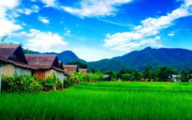 Luxury Farm House