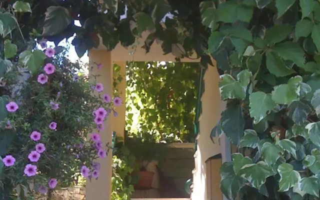 Apartments Grbesa