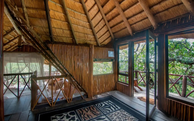 Pezulu Tree House Lodge