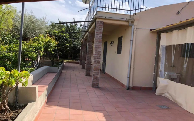 Carrubo - Giardino in città