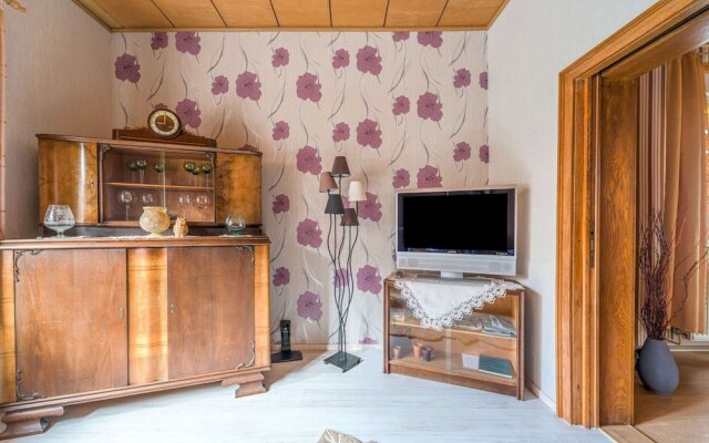 Lovely Apartment in Ilsenburg Harz near Ski Area