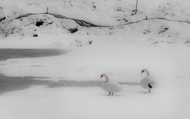 Hotel Lech Da Sompunt