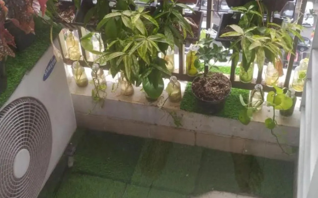 Tiny studio with pool, jogging track, gym and Mall