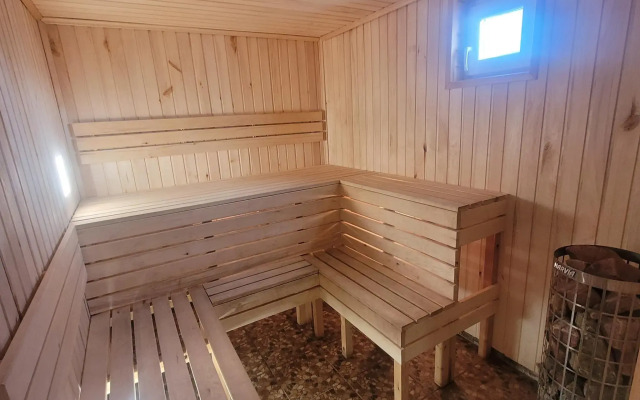Dovol'nyj radzha 10