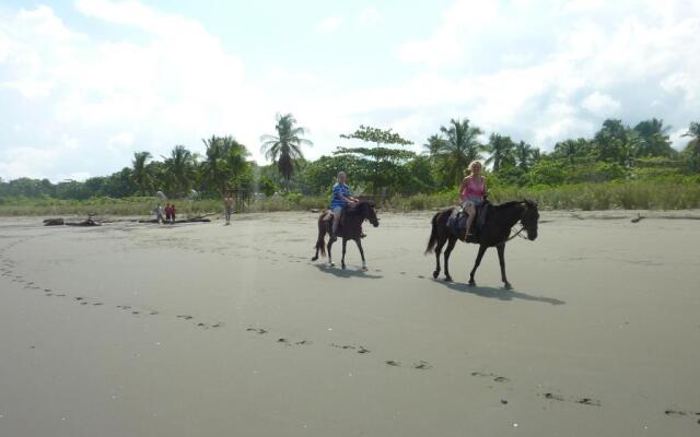 Hostal Pachamama