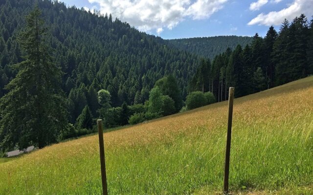 Holiday Home in the Black Forest With Sauna