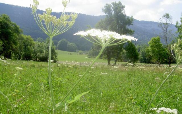 Serenella fontaine Et Coquelicots