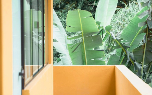 Diver Village Ilhabela