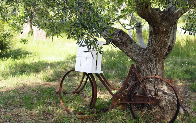 Trullo Sovrano Exclusive B&B