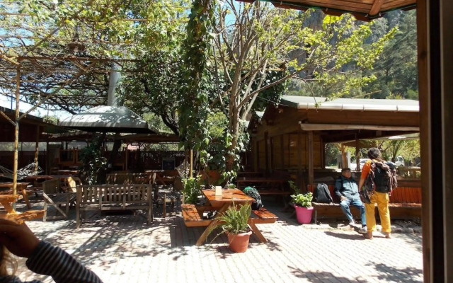 Olympos Orange