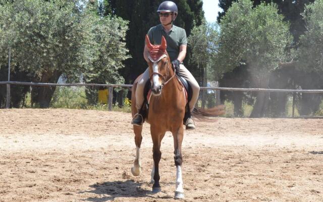 Mercury Boutique Hotel