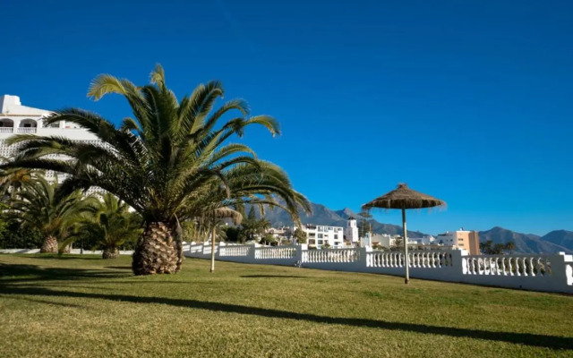 Palmeras 72 Menyber