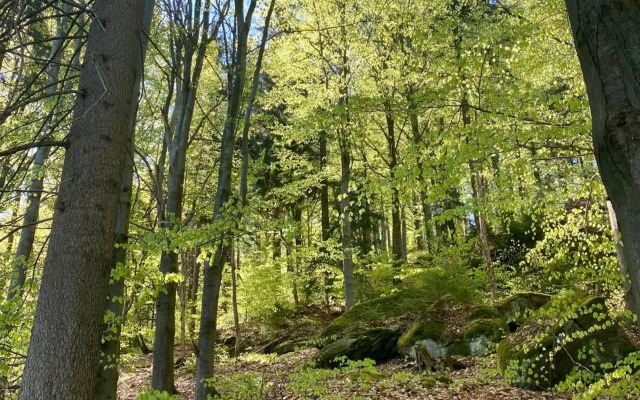 Slunný byt 2 a kk v Jizerkách