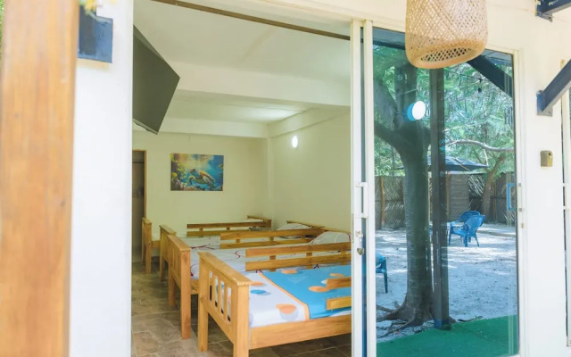 Perla Negra House Hostel