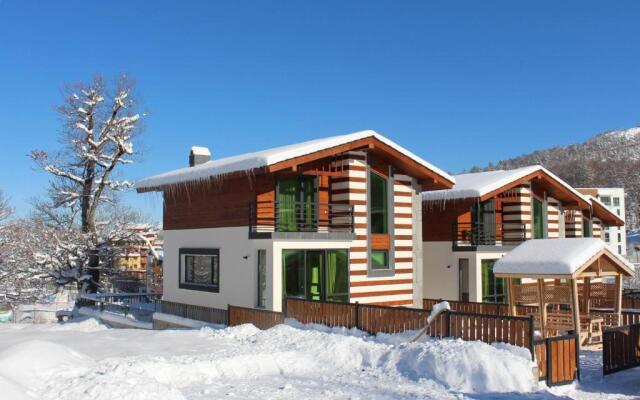 Mountain Villa Didveli