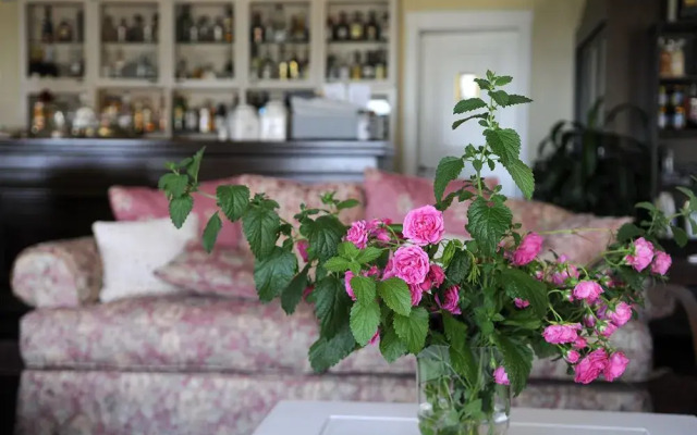 Jennifer Home Hotel - Guest House