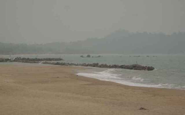 Puri Ansell