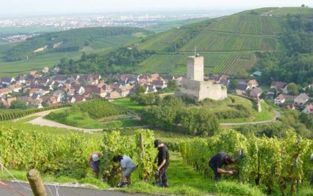 Eco-Logis du Vignoble