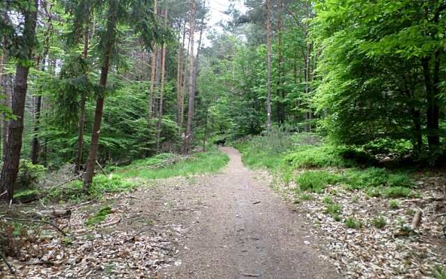 Chambres d'hôtes de la Petite Vallée.