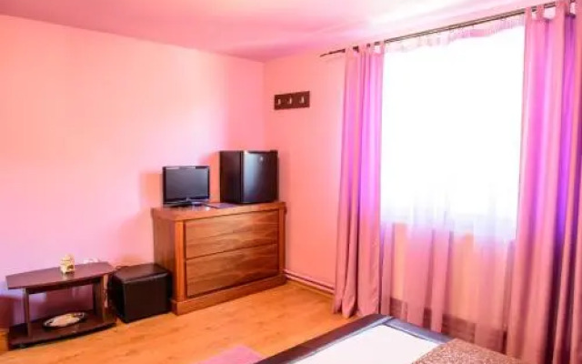 Pensiunea Darian & David