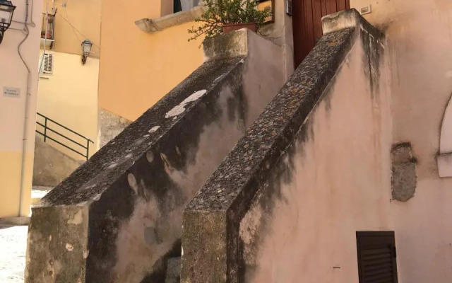 Saraceni 20