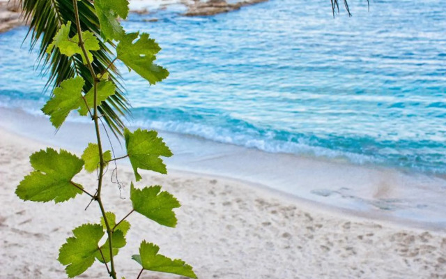 Galaxy Suites Boutique Resort